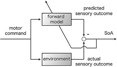 Statistical Learning Model of the Sense of Agency